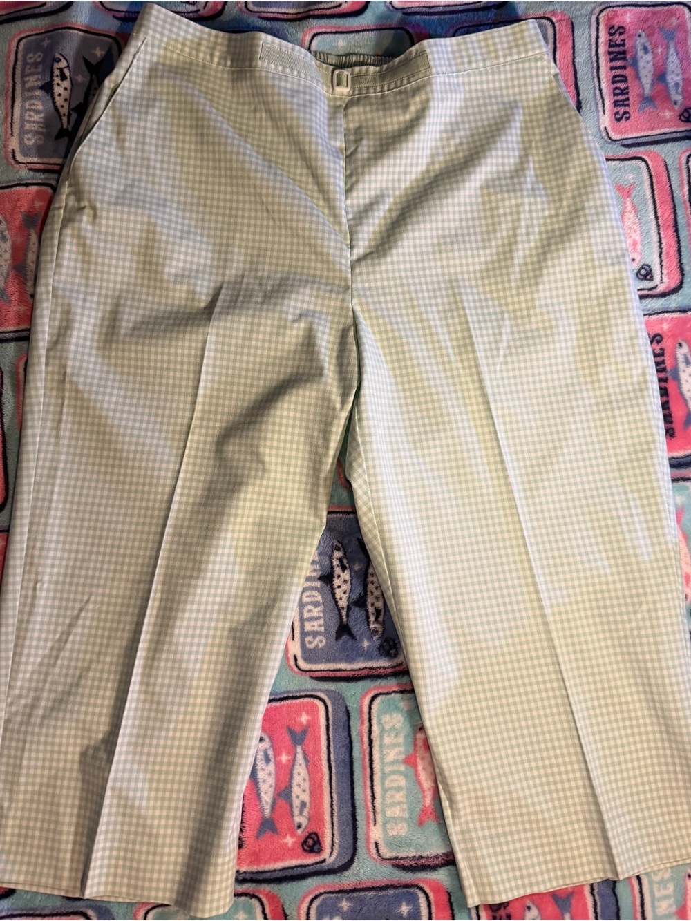 Vintage Alfred Dunner Pale Green Gingham Chinos